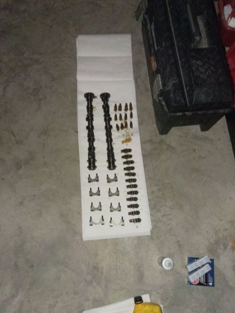 Variety